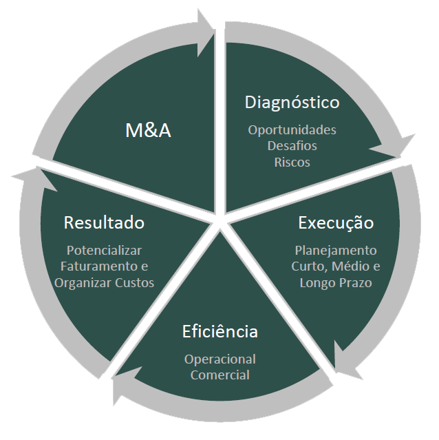 metodologia metodologia